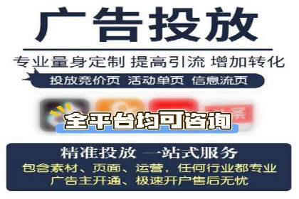 专业网站SEM托管服务案例展示
